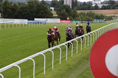 An Amazing Day Of Horse Racing At Hamilton Park Racecourse