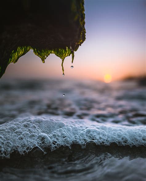 Itap Of Water Dripping Off A Mossy Rock As The Tide Was Receding R