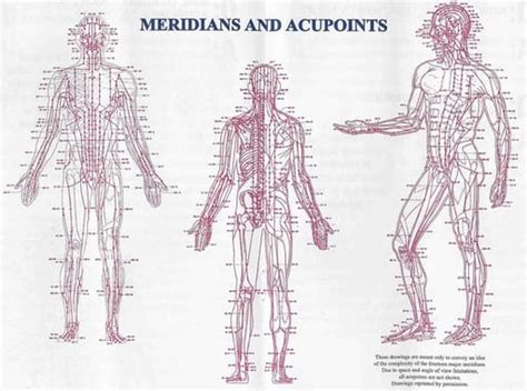 What Are Meridians In Traditional Chinese Medicine Tcm