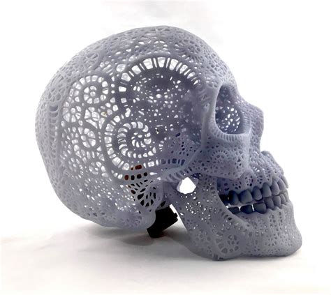 Download Stl File Filigree Anatomical Skull • 3d Printer Template ・ Cults