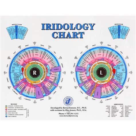 Dr Jenson Desk Iridology Chart