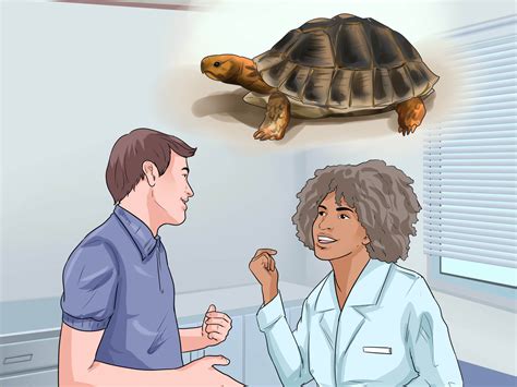 4 Ways To Sex Tortoises Wikihow