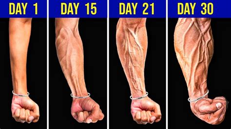 Forearm Workout बड़े Forearm कैसे बनाएं Get Bigger Forearms Fit
