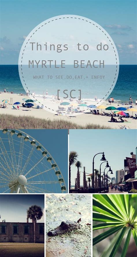 Myrtle beach area beaches, accommodations, and close contact businesses are open with social distancing in place. #myrtlebeach #vacation #vacationtips #thingstodo # ...