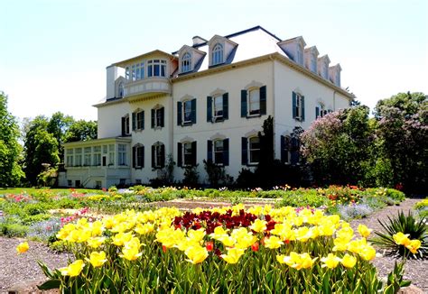 We offer two easy ways to order: Flower Garden & Spadina House, Toronto, Ontario | Greg's ...