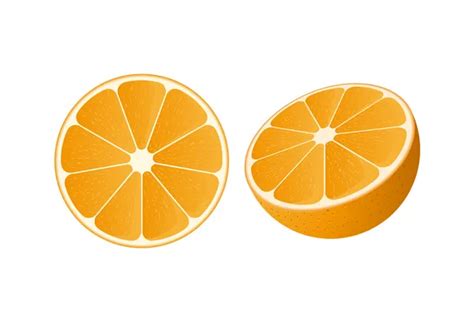 Half Orange Slice Vector