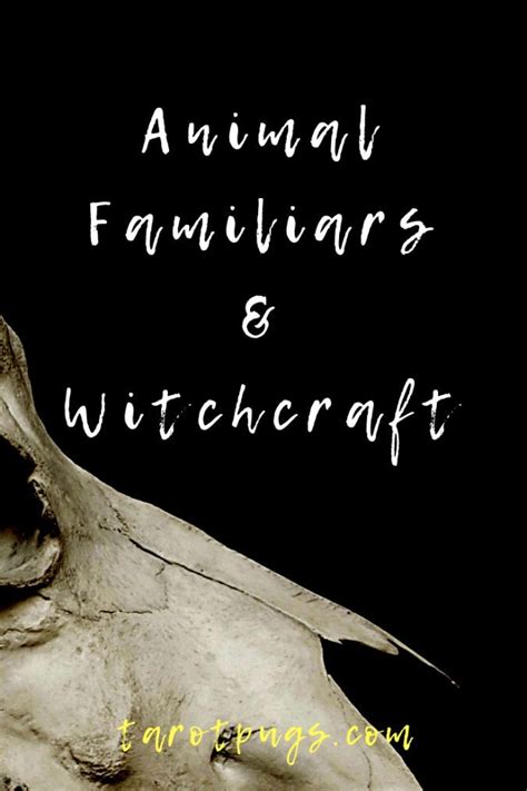 Animal Familiars And Witchcraft Witchcraft Witches Familiar