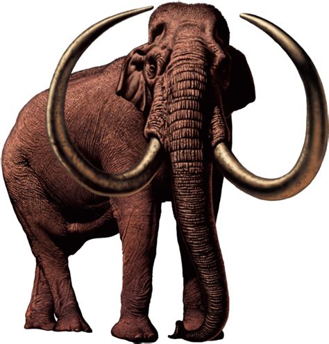 Mammoth Png Transparent Image Download Size 618x646px
