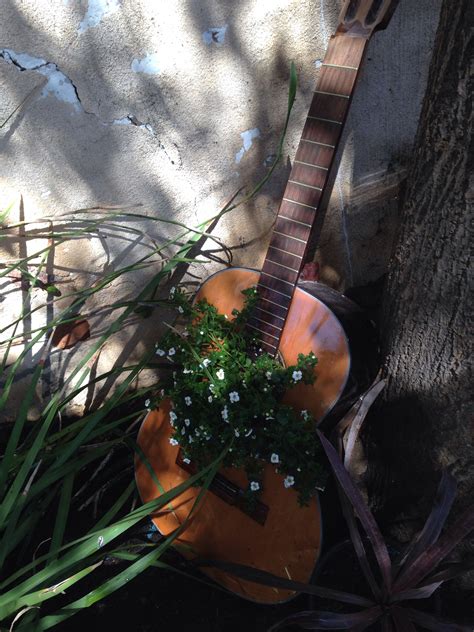 Guitar garden | Guitar, Garden, Electric guitar