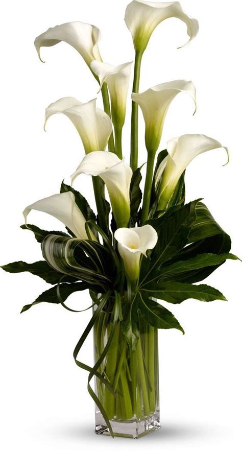 How To Arrange Calla Lilies In A Tall Cylinder Vase Modern Flower