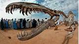 Rarest Dinosaur Fossil Pictures