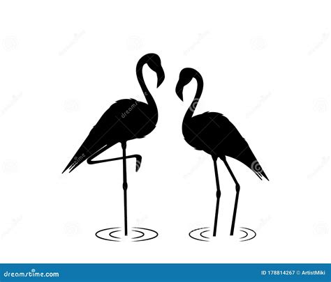 Flamingos Silhouettes Isolated On White Background Vector Stock