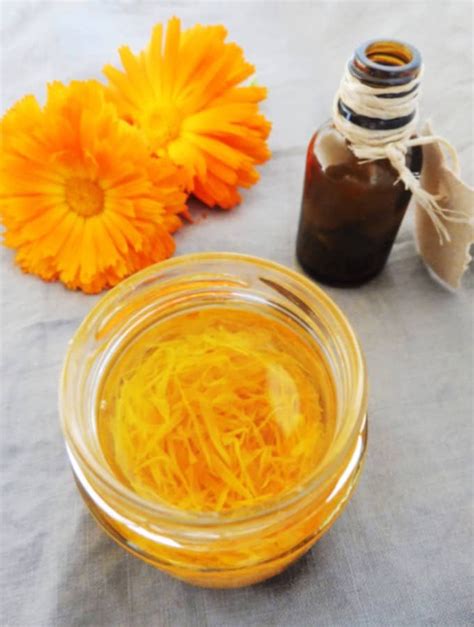 This is a bit of a tricky question, as there are no official dosing guidelines for cbd. calendula tincture with dark drop bottle | Tinctures ...