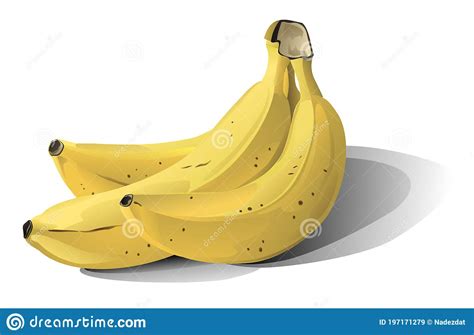 Three Big Yellow Bananas Isolated Stock Vector Illustration Of
