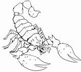 Scorpion Coloring Pages Printable Kids Scorpio sketch template