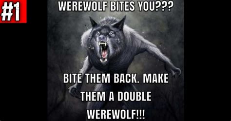 Werewolf Meme Madness You Wont Believe The Hilarious Transformation In This Viral Werewolf Meme