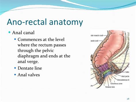 Apr Anatomy Login Portal Tutorials