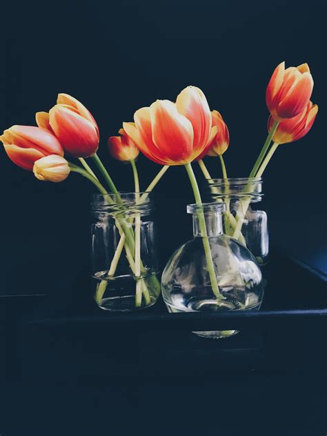 Maybe you would like to learn more about one of these? Free Images : blossom, flower, petal, bloom, tulip ...