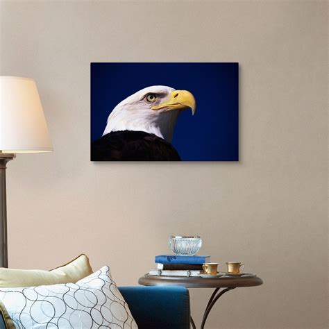 American Bald Eagle Wall Art Canvas Prints Framed Prints Wall Peels