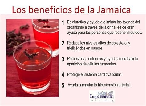 Los Beneficios De La Jamaica Beneficios De La Jamaica Agua De