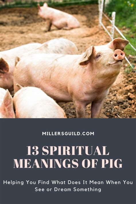 13 Spiritual Meanings Of Pig