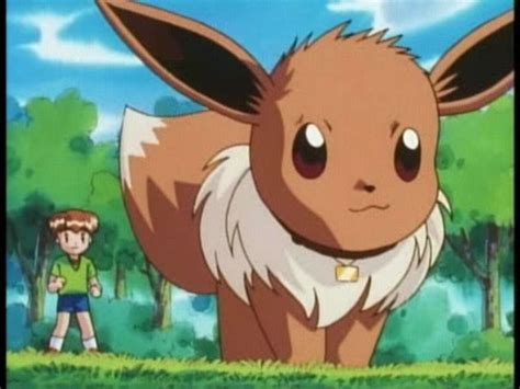 Our pokémon go eevee evolutions name trick guide lists out the nicknames for each evolution, as well as the proper evolution technique. Pokemon Go Hints and Tips: The Eevee Evolution Secret ...