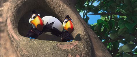 Image Rio Two Toucans With Eggpng Rio Wiki Fandom Powered By Wikia
