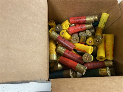 rounds assorted shotgun shells and gauge my xxx hot girl