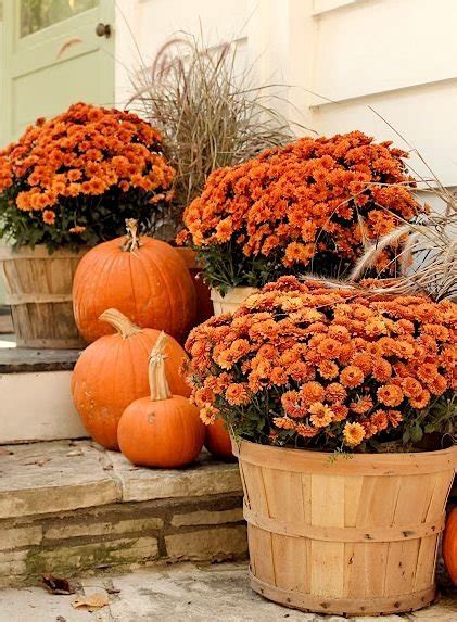 Mums In A Basket 26 Fabulous Fall Decorating Ideas