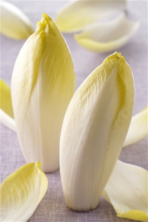 Soupe aux endives