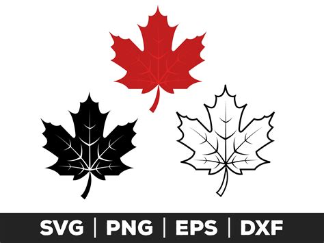 Maple Leaf Svg Png Eps Canadian Leaf Maple Svg Canada Etsy Canada