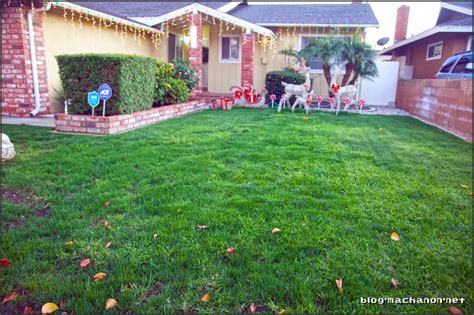 You can typically save money by opting for diy options like sunday, but the cost of having a lawn care professional treat your yard often yields effective results. Get Sunday Lawn Care: Review, Does it Work? » Balancing Act