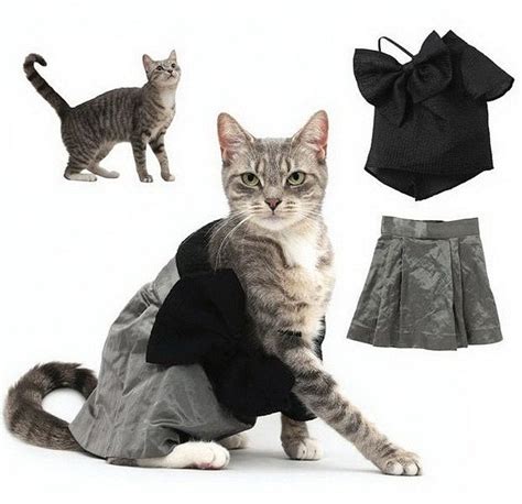Trendy Clothes For Cats