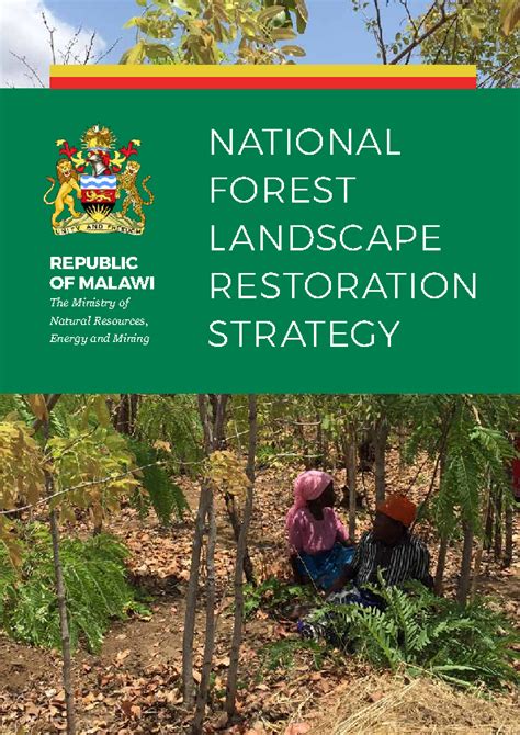 National Forest Landscape Restoration Strategy — Cepa