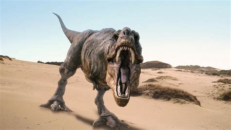 46 Dinosaur Hd Wallpaper On Wallpapersafari