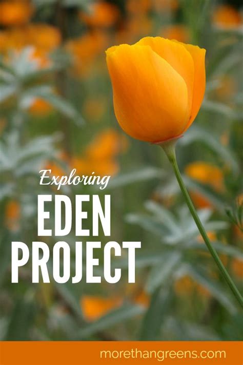 Exploring The Epic Biodomes At The Eden Project More Than Greens