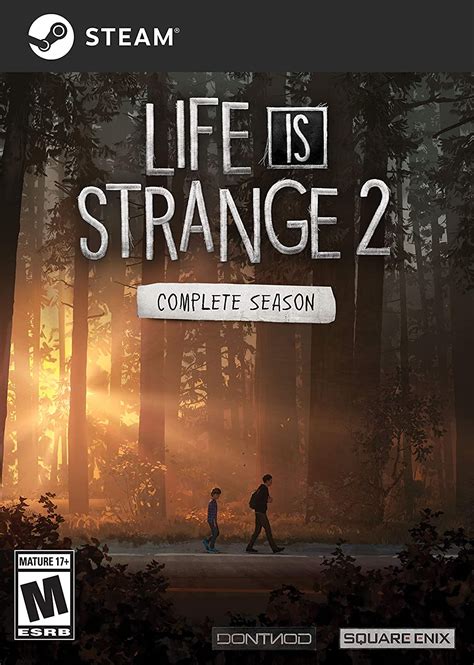 Life Is Strange 2 Complete Season Code Jeu Pc Steam Amazonfr