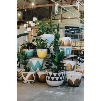 Canada's #1 indoor & house plants delivery service! Large Indoor Plant Pots - Foter