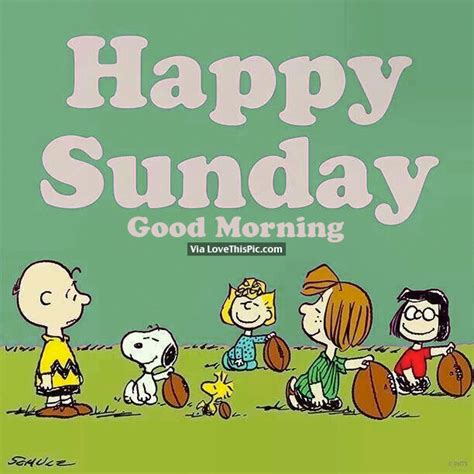 Happy Sunday Good Morning Pictures Photos And Images