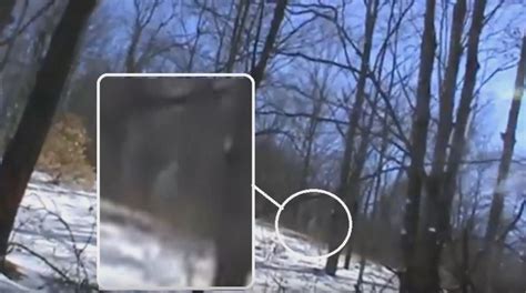 Bigfoot Evidence New Video Capture Of Possible White Bigfoot In Ohio