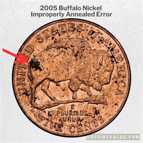 2005 Buffalo Nickel American Bison Value And Errors