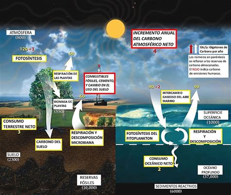 Ciclos Biogeoquímicos Que Regulan La Energía Y La Vida En La Tierra