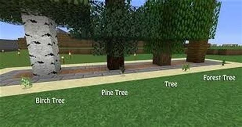 Self Planting Trees Working All Versions Minecraft Data Pack
