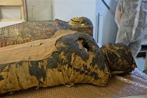 Polish Scientists Discover Ancient Egyptian Mummy Was Pregnant Woman Reuters