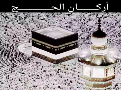 من خلال هذا الموضوع سوف نعرض لكم الفرق بين الحج والعمرة فى الاسلام وما هى اداب العمرة وما هو اداب فريضة الحج الموضوع يقدم كل شئ العُمْرَة اصطلاحًا: شرح أركان الحج في الإسلام بالتفصيل - تصنيف الحج والعمرة ...