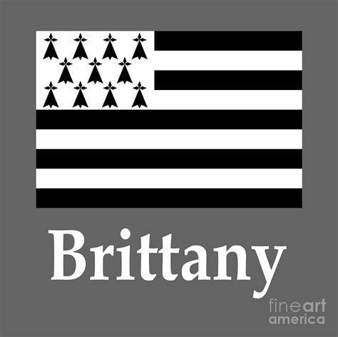 Brittany France Flag And Name Digital Art By Frederick Holiday Fine