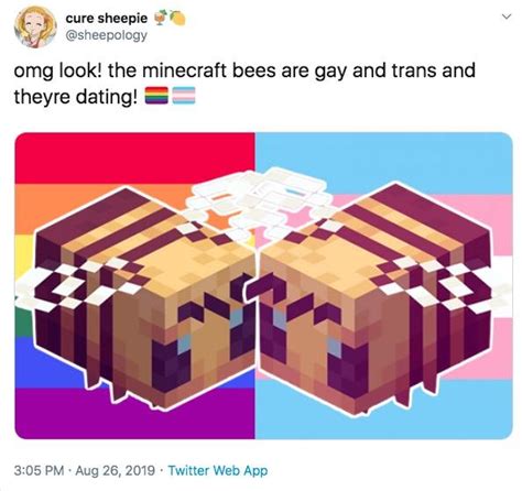 Flags The Minecraft Bee Is Trans Know Your Meme