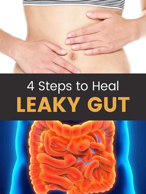 4 Steps To Heal Leaky Gut Syndrome Draxe Com 2017 04 14 Pdf