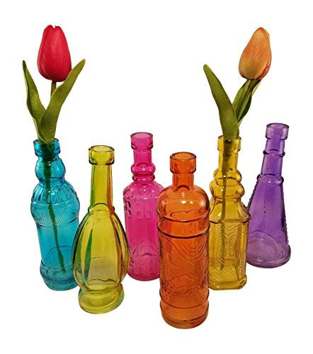 Colored Bottle Tree Bottles Set Of 6 Electronicmixly