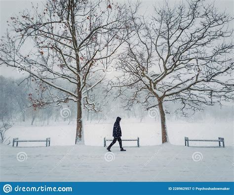 Lonely Person Walking In The Park In A Cold And Snowy Winter Day